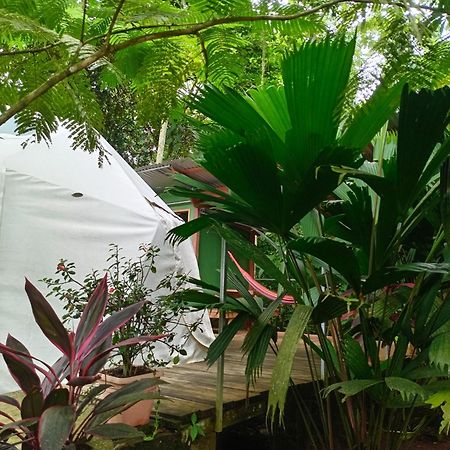 GuápilesGlamping Naiothアパートメント エクステリア 写真