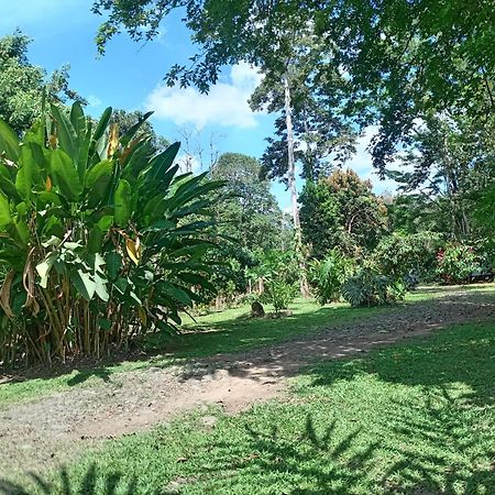 GuápilesGlamping Naiothアパートメント エクステリア 写真