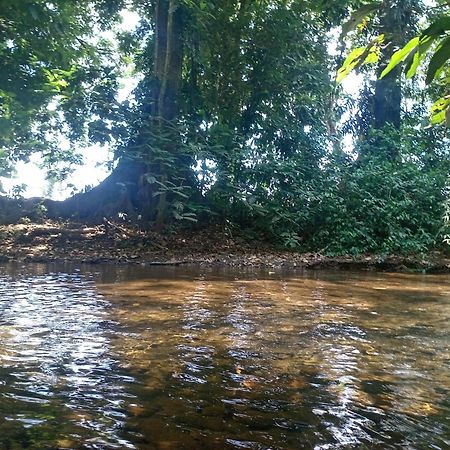 GuápilesGlamping Naiothアパートメント エクステリア 写真