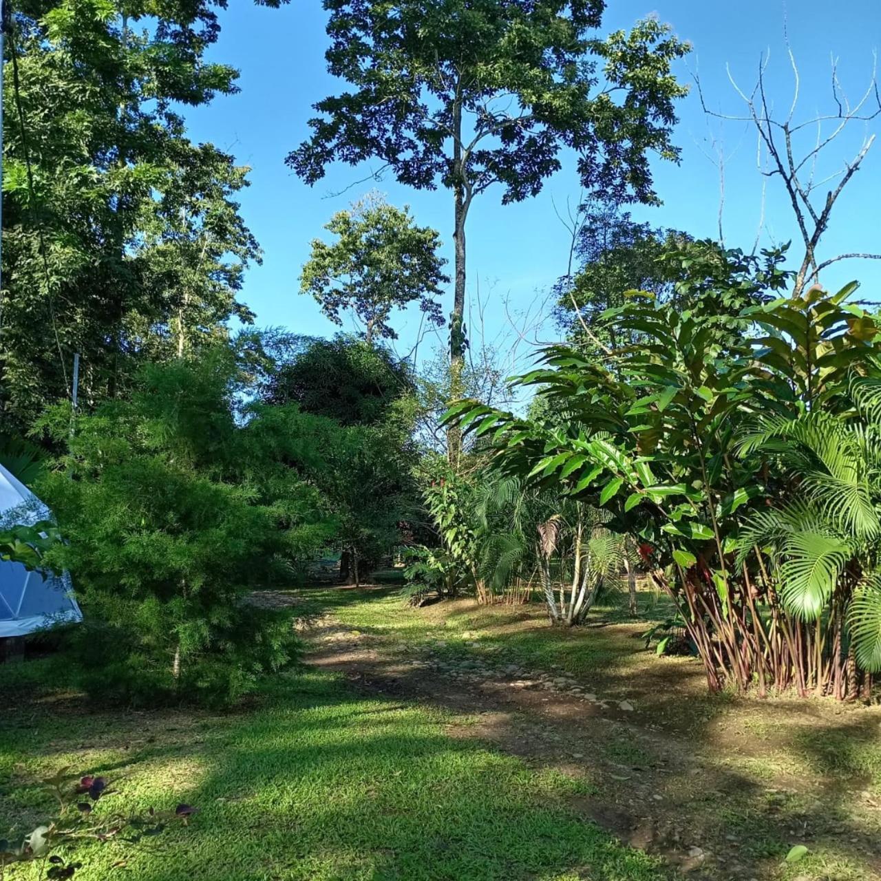 GuápilesGlamping Naiothアパートメント エクステリア 写真