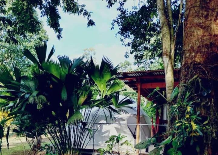 GuápilesGlamping Naiothアパートメント エクステリア 写真