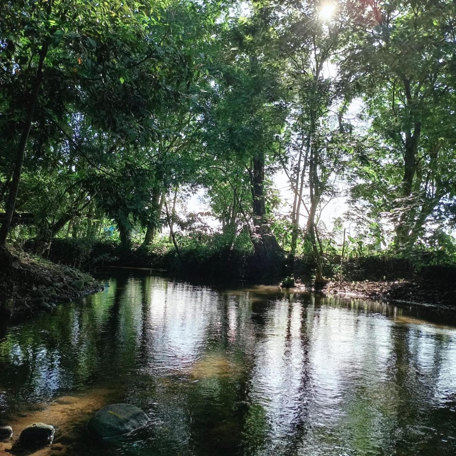 GuápilesGlamping Naiothアパートメント エクステリア 写真