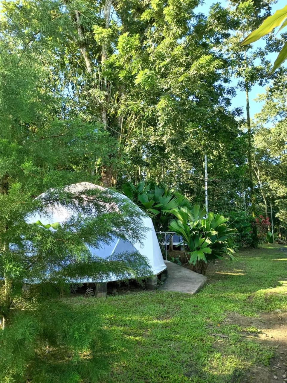 GuápilesGlamping Naiothアパートメント エクステリア 写真