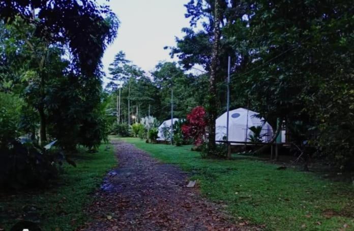 GuápilesGlamping Naiothアパートメント エクステリア 写真