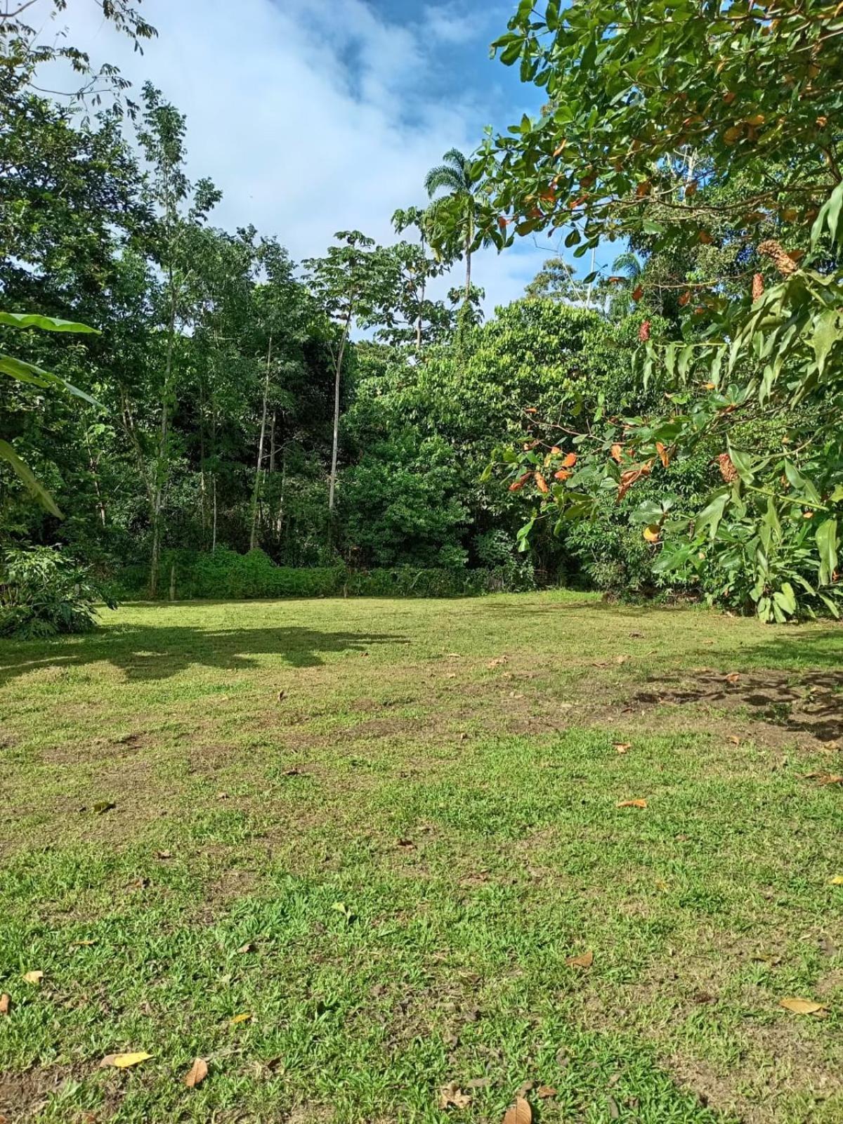 GuápilesGlamping Naiothアパートメント エクステリア 写真