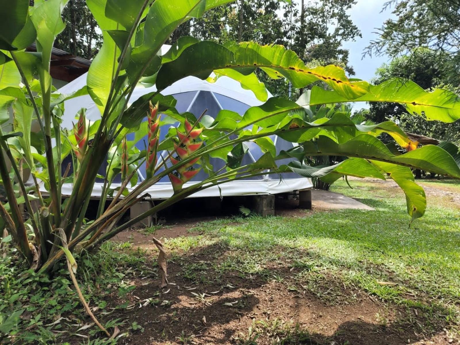 GuápilesGlamping Naiothアパートメント エクステリア 写真