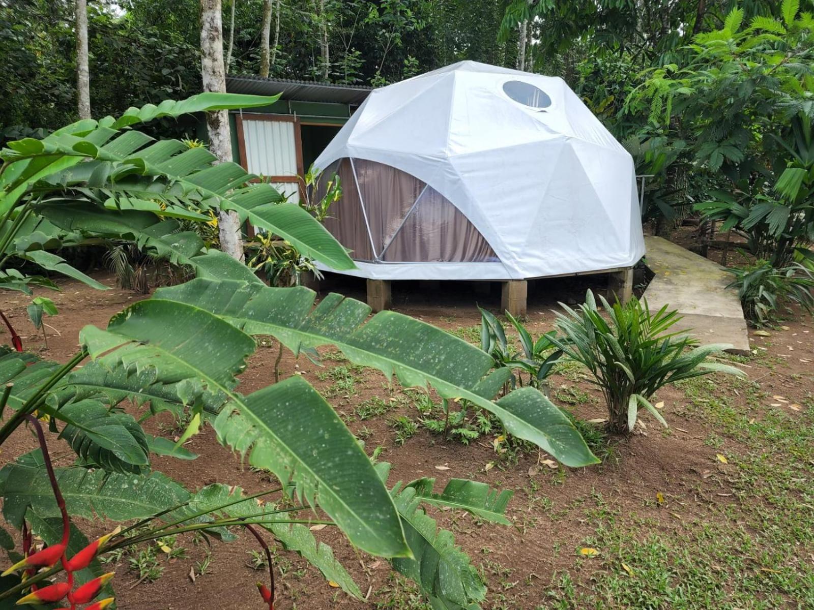 GuápilesGlamping Naiothアパートメント エクステリア 写真