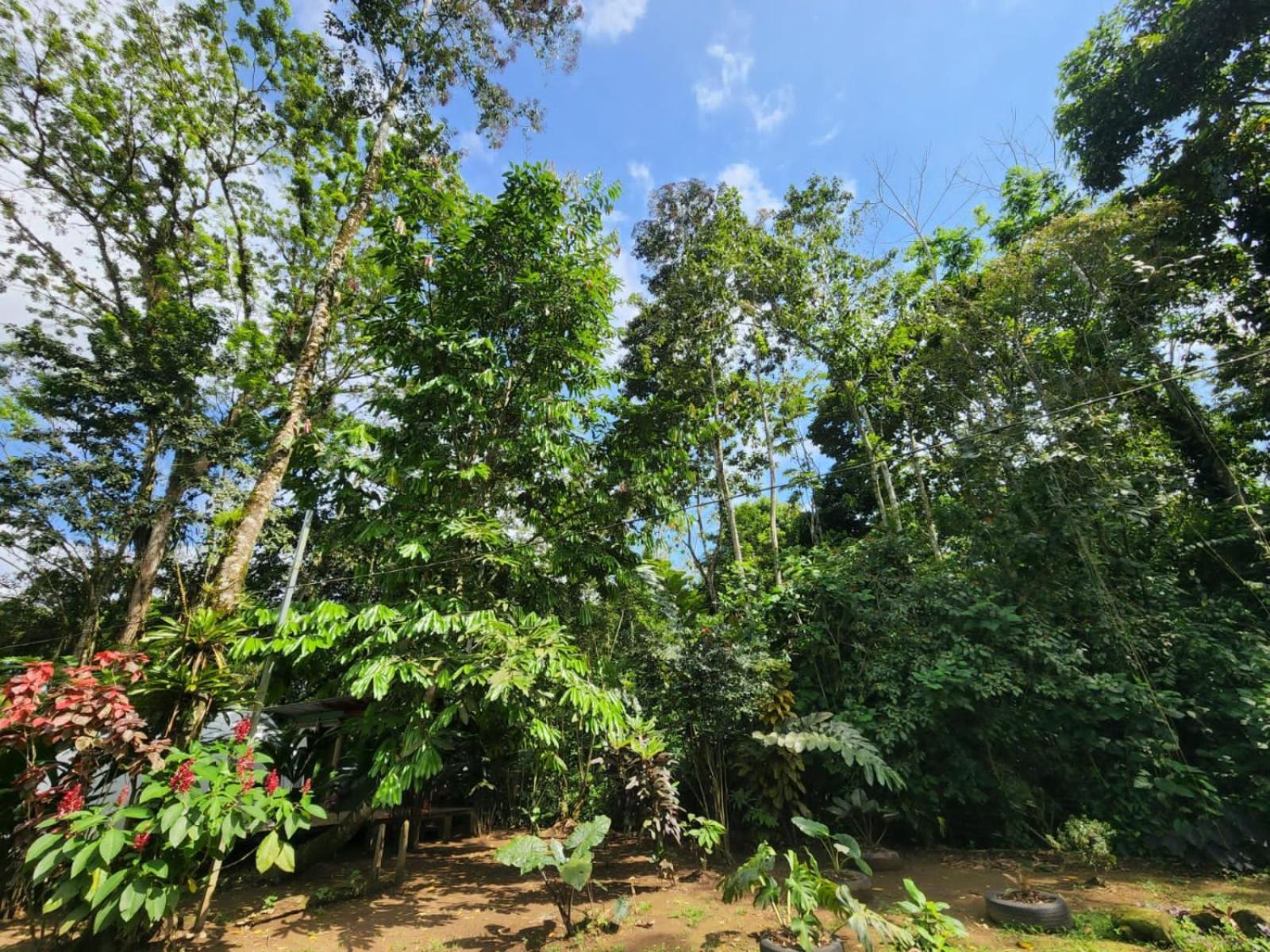 GuápilesGlamping Naiothアパートメント エクステリア 写真
