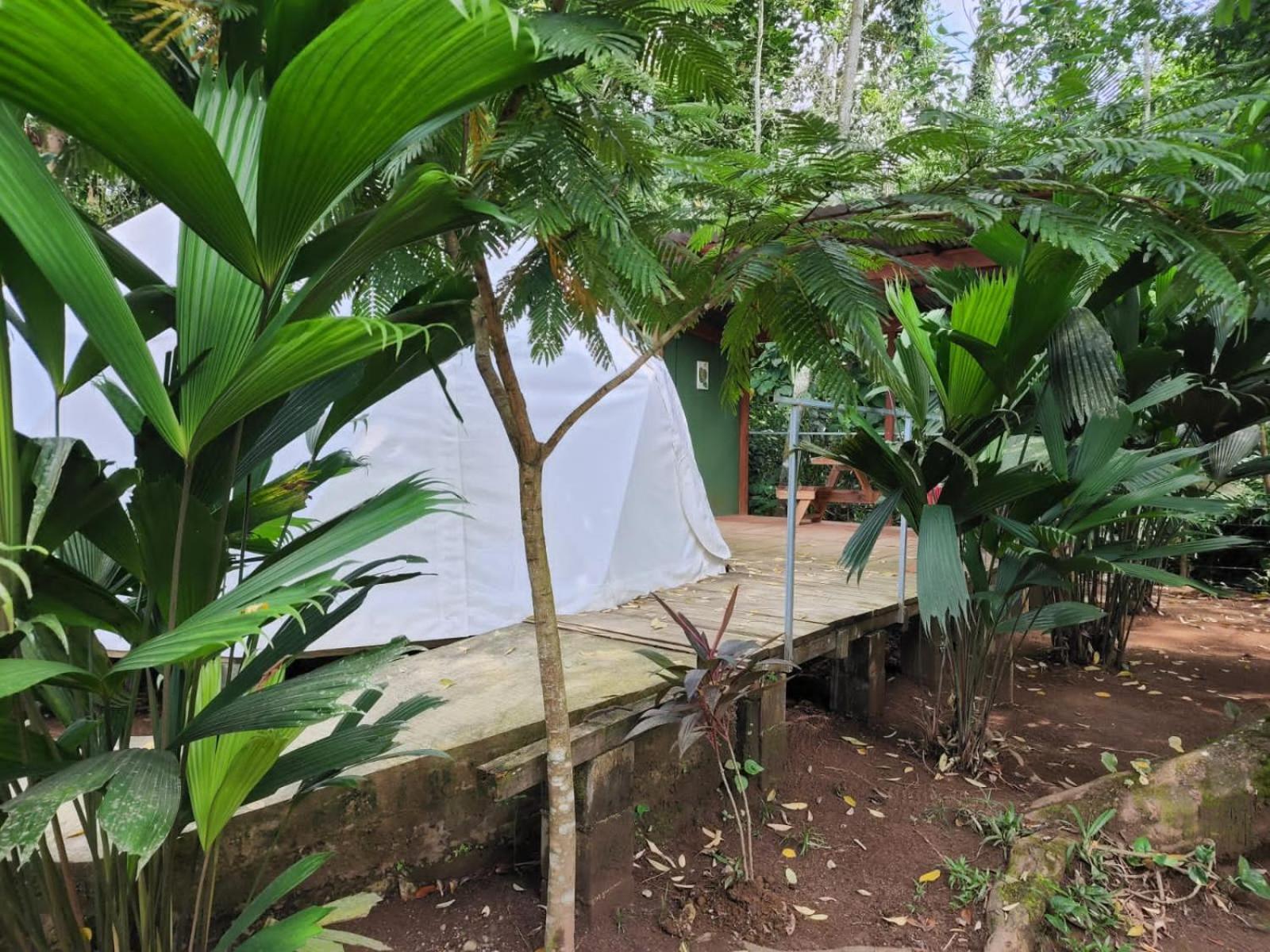 GuápilesGlamping Naiothアパートメント エクステリア 写真