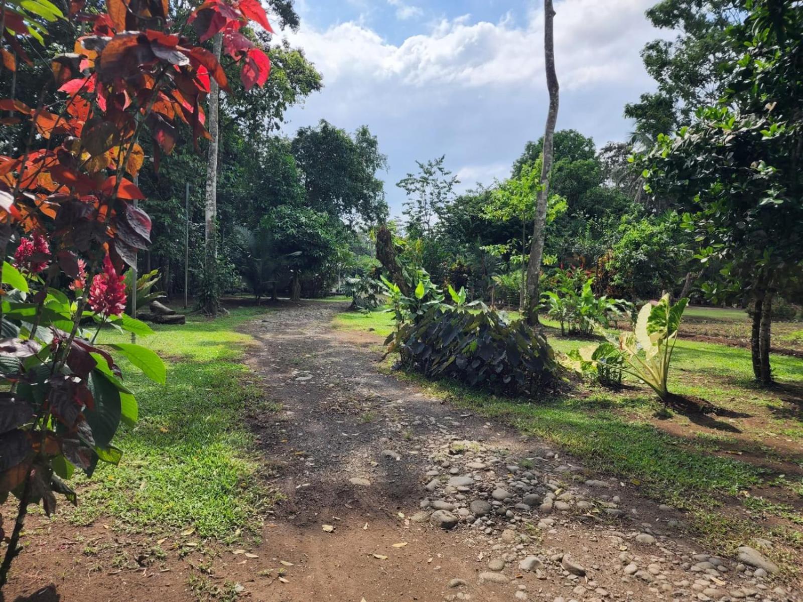 GuápilesGlamping Naiothアパートメント エクステリア 写真