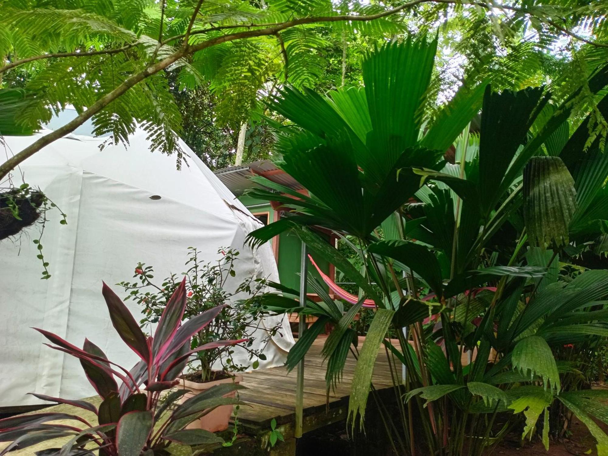 GuápilesGlamping Naiothアパートメント エクステリア 写真