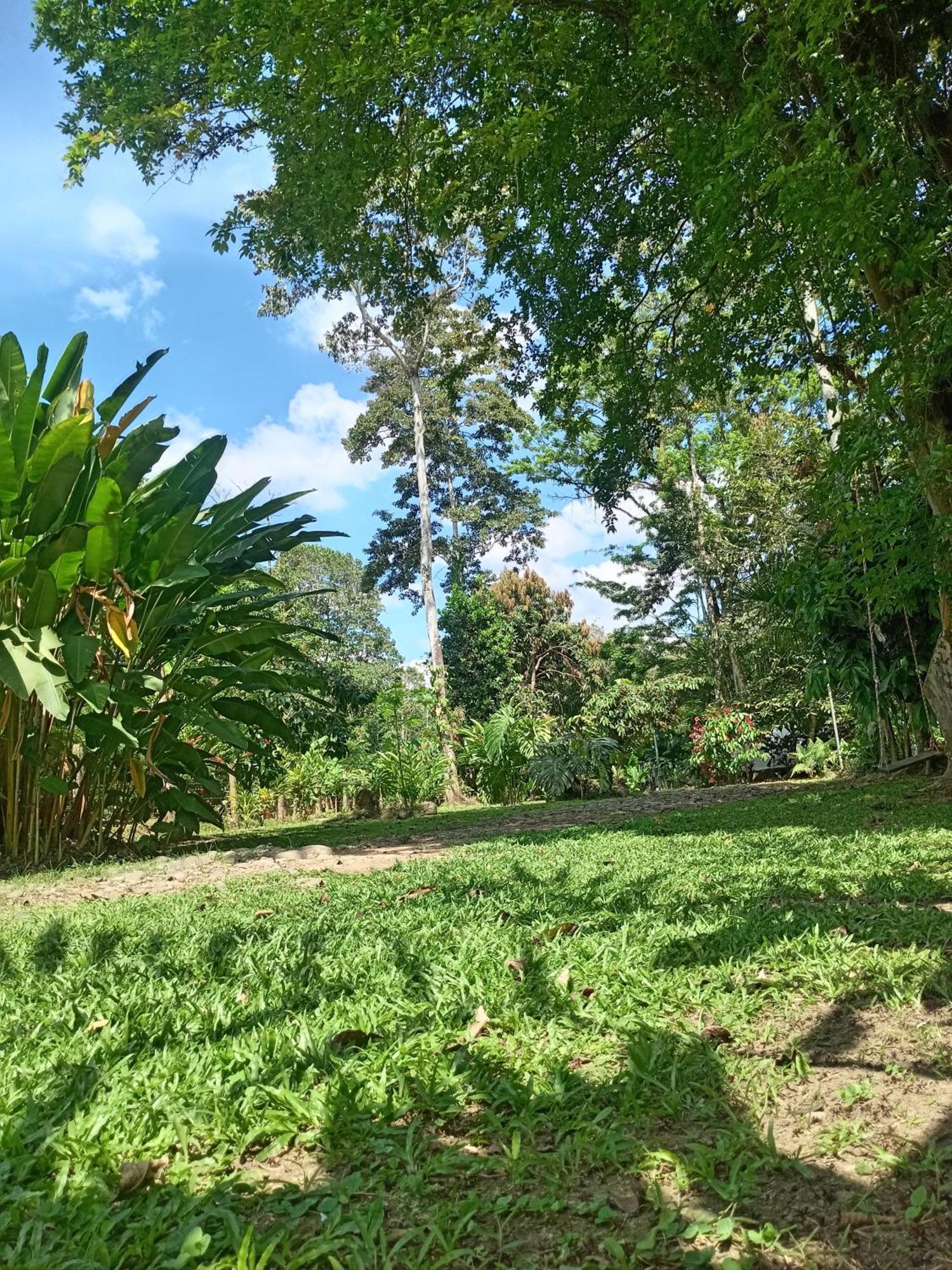 GuápilesGlamping Naiothアパートメント 部屋 写真