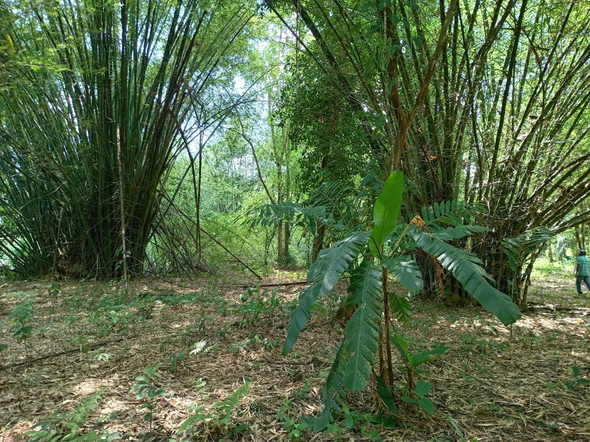 GuápilesGlamping Naiothアパートメント 部屋 写真